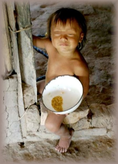 07/06 - Comiss�o da Cidadania da OAB Joinville realizou importante reuni�o de planejamento