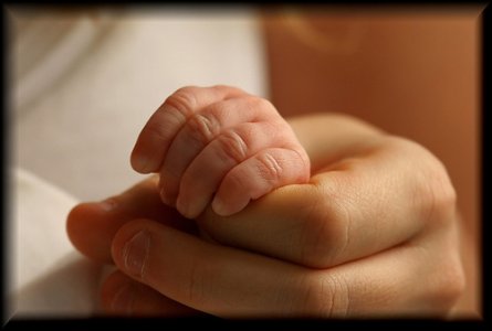 Aux�lio maternidade para as Advogadas: CAASC aprova projeto da Comiss�o da Mulher Advogada da OAB Joinville