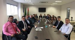 Reuni�o conjunta das Comiss�es de Assuntos Judici�rios, Direito Criminal e de Defesa, Assist�ncia e Prerrogativas