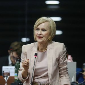 Pleno da OAB/SC aprova concess�o da Medalha Jo�o Baptista Bonassis � advogada Maria de Lourdes Bello Zimath