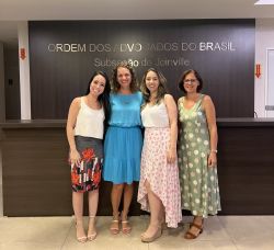 Comiss�o de Direito Sist�mico realiza primeira reuni�o ordin�ria de 2023