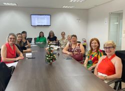 Comiss�o da Mulher Advogada se re�ne para �ltima reuni�o ordin�ria mensal de 2022