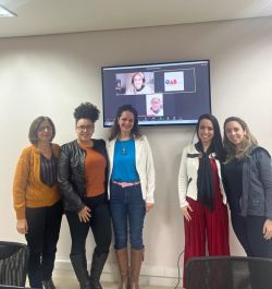 Comiss�o de Direito Sist�mico  realiza reuni�o ordin�ria h�brida