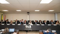 OAB Joinville participa da 1� Sess�o Ordin�ria do Conselho Pleno de 2024 da OAB/SC