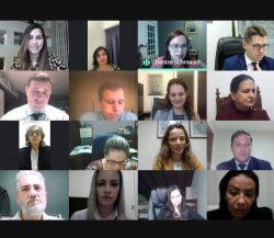 Comiss�o de Direito da Fam�lia e Sucess�es da OAB Joinville fez reuni�o virtual nesta quinta-feira (15)
